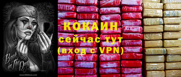 прущий лед Богородицк