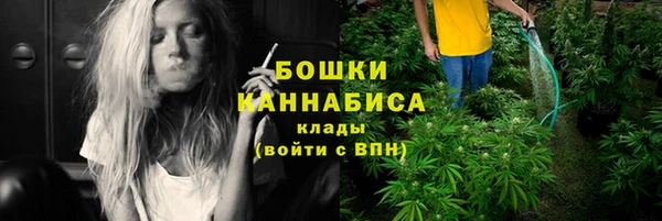 ПСИЛОЦИБИНОВЫЕ ГРИБЫ Богородск